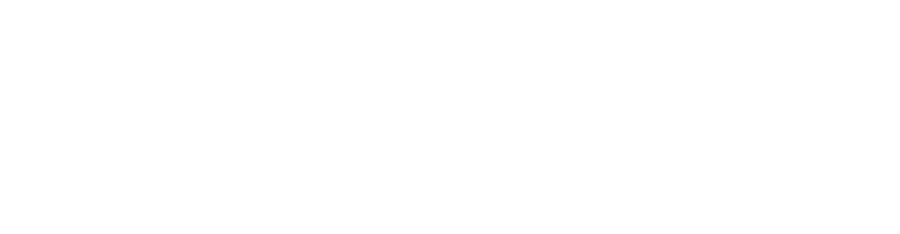 Logo Nolan
