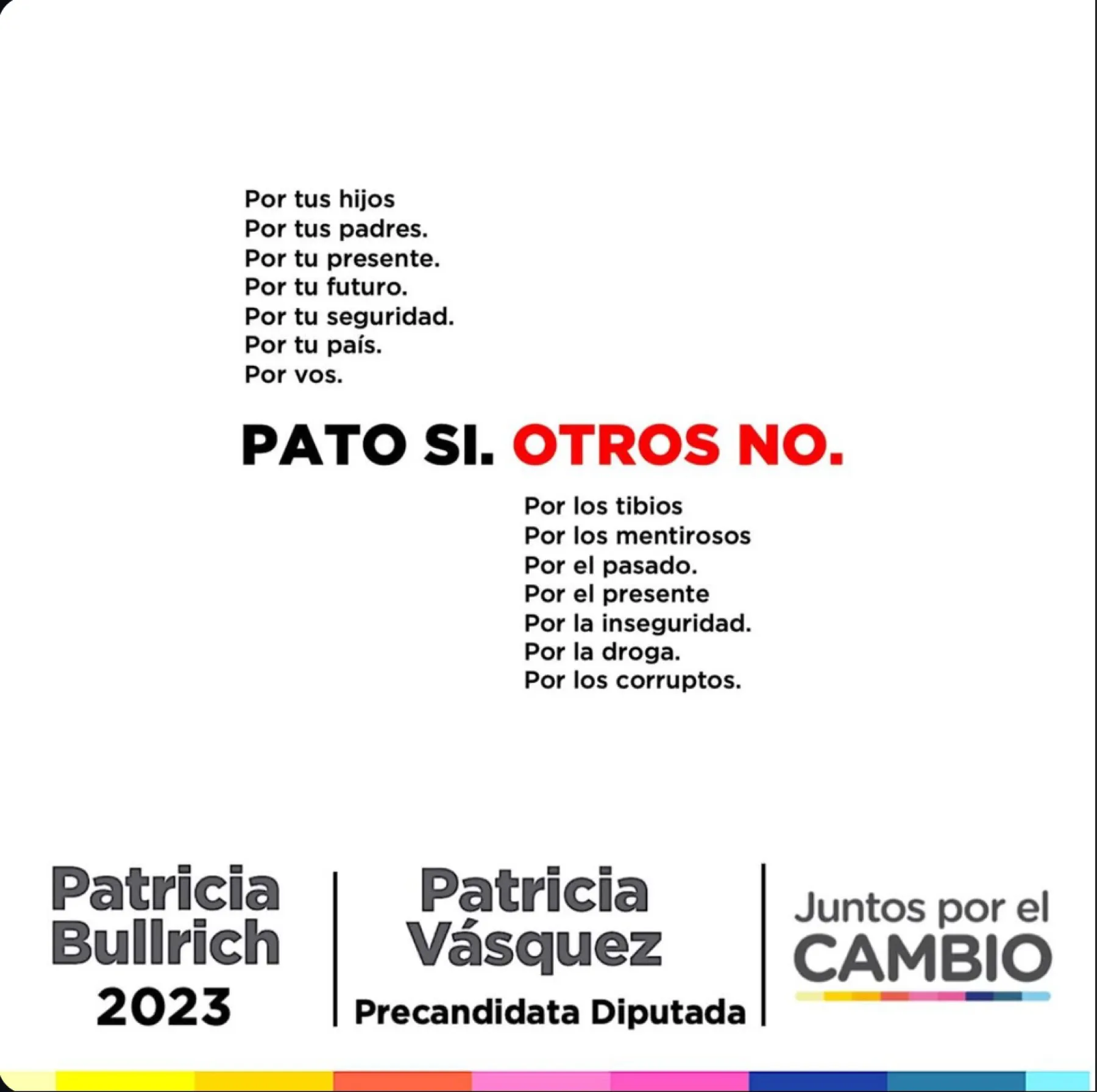 Patricia Vásquez · Juntos por el Cambio — pieza 8